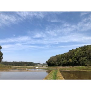 千葉エコ認証　特別栽培米多古米【配送不可地域：離島・沖縄県】【1280501】