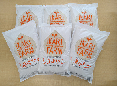 【7年産】すっごいもちもち「しきゆたか」白米定期便　6カ月で5㎏を6回お届け（1カ月に1回）【C013W1】 近江米