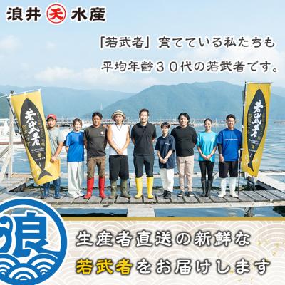 ふるさと納税 佐伯市 豊後ハマチ 若武者(丸一本) |  | 03