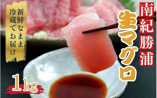 水揚げ高日本一！ 南紀勝浦産 生まぐろ ブロック 約1kg マグロ まぐろ 鮪 赤身 ブロック 刺身 冷蔵【hor002A】