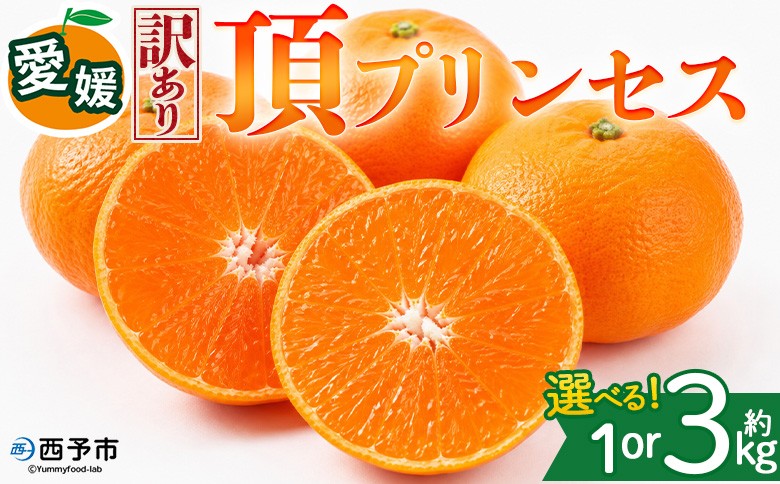 
                  ＜【訳あり】愛媛県産 頂プリンセス 約1kg／3kg＞『2027年2月下旬～4月上旬迄に順次発送予定』 選べる 容量 内容量 わけあり みかん 蜜柑 果物 くだもの フルーツ ミカン ぷるぷる とろける 食感 果汁 国産 株式会社三代目みかん職人 愛媛県 西予市【冷蔵】
                