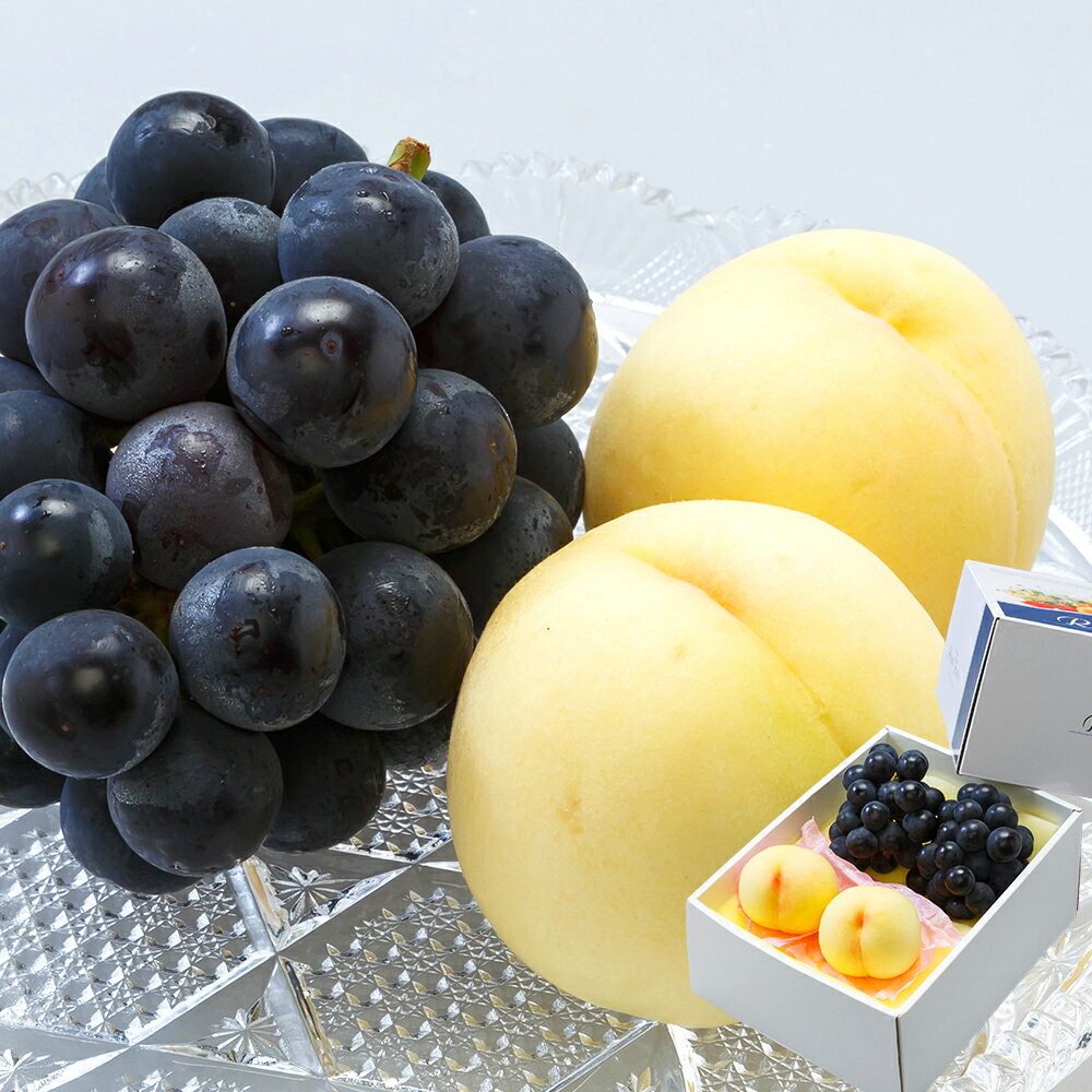 【ふるさと納税】桃 ぶどう 果物 詰合せ 白桃 2玉（1玉220g以上）ニューピオーネ 2房（1房480g以上）化粧箱入り 岡山県産 フルーツ 果物 ギフト 食べ比べ 【2026年7月下旬～8月上旬迄順次発送予定】