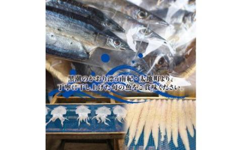 干物セット 大容量でお届け カマスの開き26枚セット ひもの カマス 家庭用 定番【sio109】