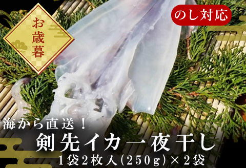 「お歳暮」海から直送！剣先イカ一夜干し いか おつまみ 干物 酒の肴「2023年 令和5年」