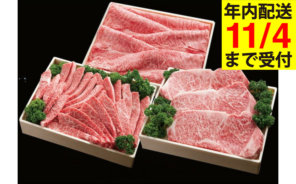 神戸牛 すき焼き 焼肉 ロースステーキ フルコースセット（2.9kg）(TY-FC20)/ 牛肉 霜降り 但馬牛 黒毛和牛 和牛 国産牛 肩 モモ ロース 焼き肉 ステーキ肉 すき焼き肉 神戸ビーフ 