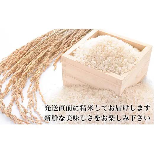 令和7年産 ササニシキ ヨシ腐葉土米  精米4kg（4kg×1袋）