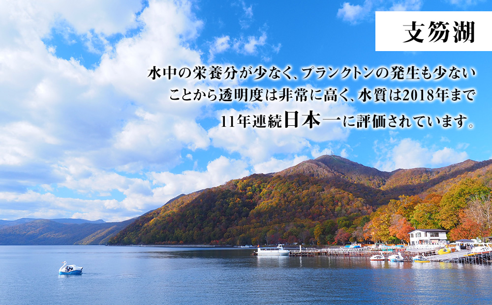 北海道 千歳市☆応援寄付金☆【返礼品なし】5,000円