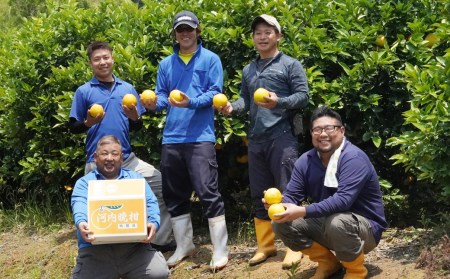 フルーツアイランド・マルエム直販の愛南産の河内晩柑 約10kg 柑橘 フルーツ 果物 蜜柑 みかん くだもの mikan かわち ばんかん かんきつ 和製 グレープフルーツ 愛南ゴールド デザート 果