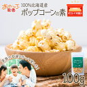 【ふるさと納税】おうちで作れる ポップコーン100g 《おのっぷ農園》 ふるさと納税 北海道