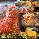 【ふるさと納税】やまなか家の豪華BBQセット1kg (G-013) 冷凍 牛ハラミステーキ 国産牛カルビ 牛たん 三元豚カルビ 牛ホルモン たれ（G-013）