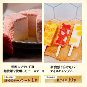 スイーツ 定期便 全6回 チーズケーキ ガトーショコラ モンブラン 葛アイス 苺 いちご どら焼き あんこ 生クリーム アイス チーズ お菓子 デザート おやつ 新柳本店 新潟 新発田 sinyana