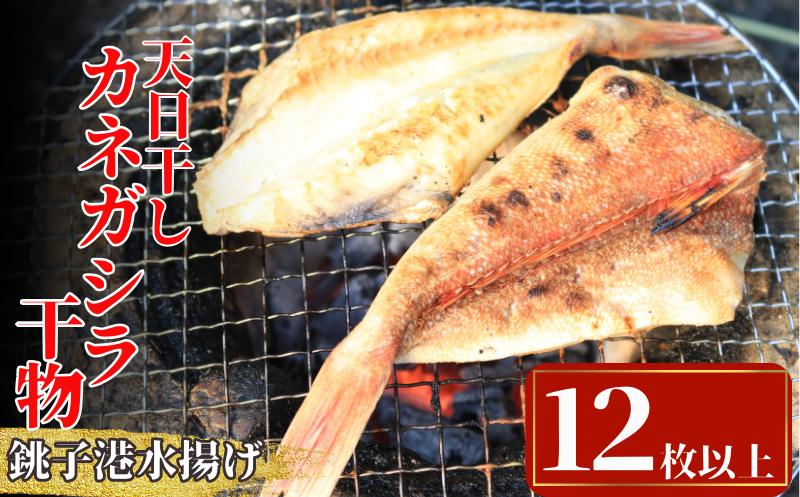 
天日干し カネガシラ干物 4パック 1パック3~5枚入り 合計12枚以上 10000円 かねがしら カネガシラ カナガシラ かながしら 白身魚 干物 ひもの 干物 高級魚 冷凍 無添加 新鮮 真空パック 魚介類 地魚 魚 海鮮 焼魚 おかず 朝食 夕食 おつまみ 日本酒 ビール 酒の肴 グルメ お取り寄せ 贈り物 銚子港 千葉県 銚子市 〆印島長水産
