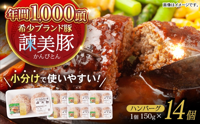 
            諫美豚ハンバーグ 14個（各150g）計2.1kg / 豚肉 ハンバーグ はんばーぐ おかず 惣菜 冷凍 / 諫早市 / 土井農場 [AHAD052]
          