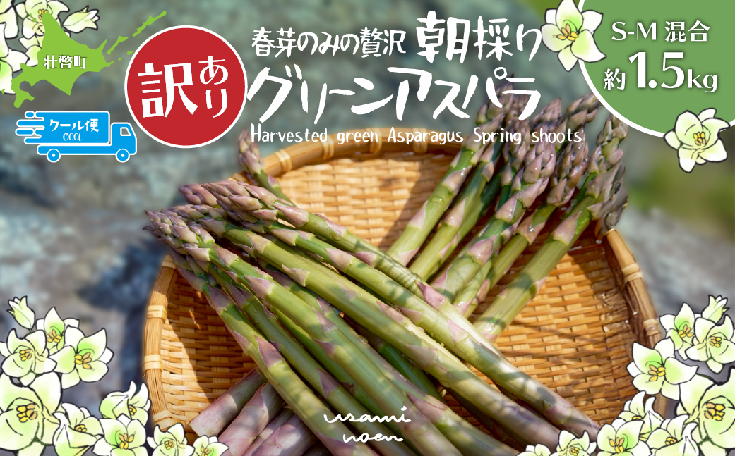 【2026年予約】【訳あり】朝採りグリーンアスパラ（春芽）S-M混合 約1.5kg 北海道壮瞥町産 SBTAJ039
