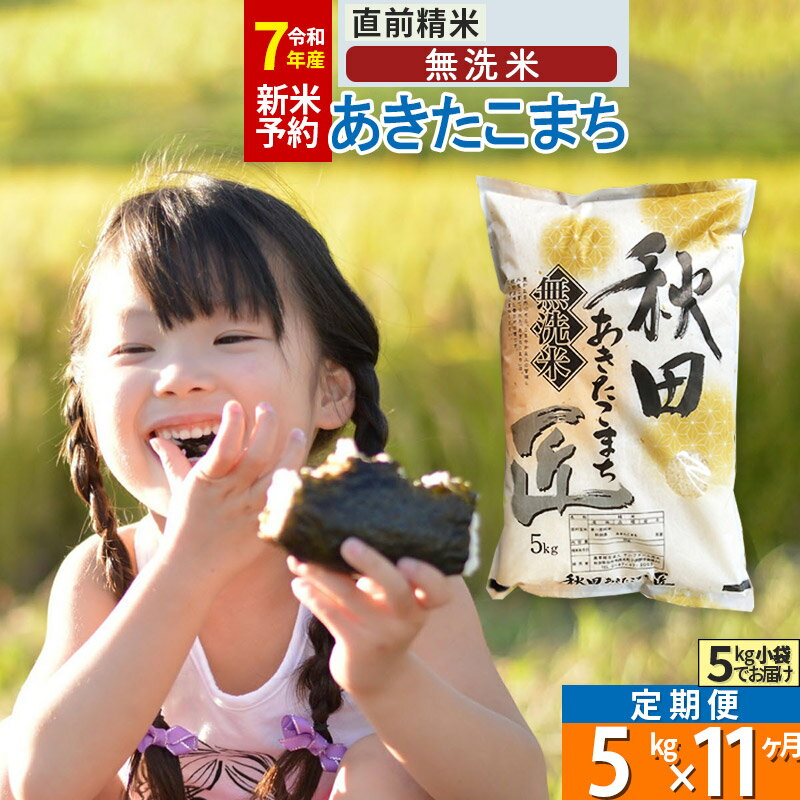【ふるさと納税】【無洗米】※R7新米予約※《定期便11ヶ月》秋田県産 あきたこまち 5kg (5kg×1袋) ×11回 令和7年産 お米 新米