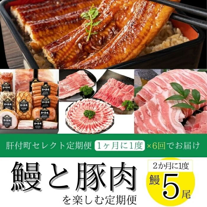 【ふるさと納税】＜定期便・全6回＞肝付町セレクト定期便《 鰻5尾と豚肉を楽しむ定期便》 鹿児島 豚肉 鹿児島県産 黒豚 鰻 とんかつ しゃぶしゃぶ ハム ウィンナー 定期便 セレクト 冷凍 冷凍食品 【株式会社きもつき未来商社そらまち】