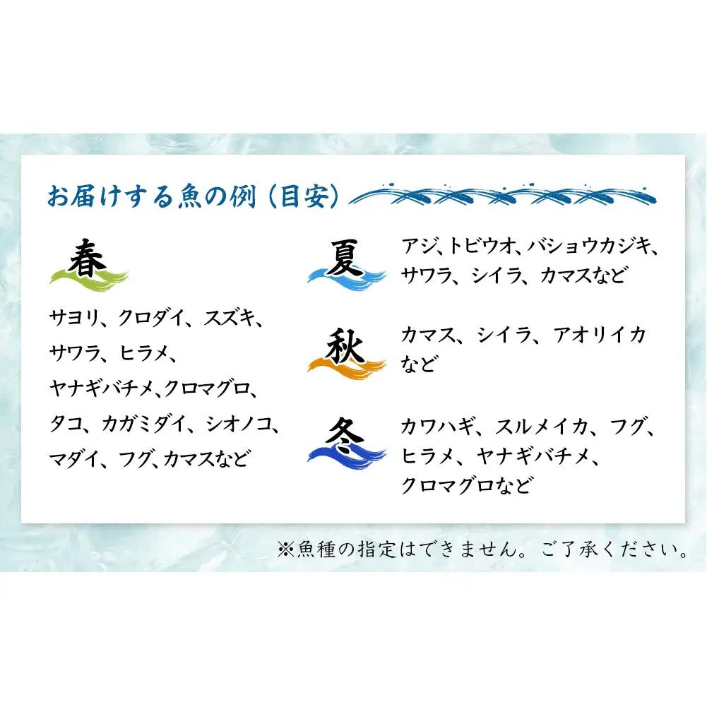 【6回定期便 / 隔月お届け】 刺身詰め合わせ （柵） 2-3人前 （3種類）〈冷蔵〉  釣屋魚問屋直営 ひみ岸壁市場