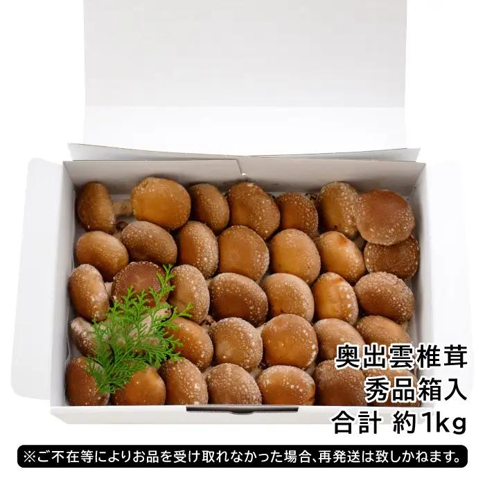 「奥出雲椎茸」秀品箱入【椎茸 生しいたけ 1kg 収穫直後 サイズ混合 新鮮 旨味たっぷり 菌床栽培 国産 きのこ キノコ 野菜 料理 食品 産地直送 自宅用】