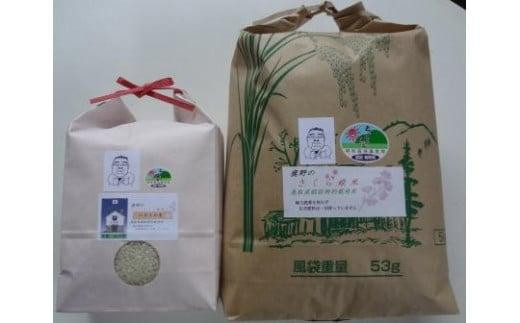 
                  【2026年9月下旬～発送予定】おいしい米食べ比べセットA
                