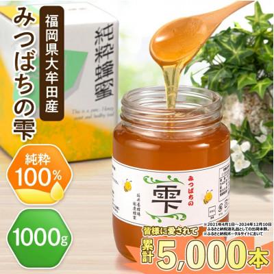 ふるさと納税 大牟田市 坂井養蜂場　みつばちの雫　1000g