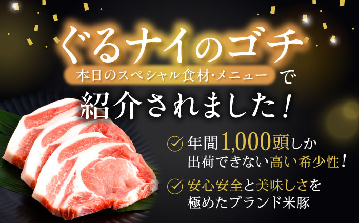 【12回定期便】諫美豚おすすめバラエティセット3kg回 / 諫美豚 豚肉 肩ロース ステーキ モモ 切り落とし ハンバーグ ロースステーキ / 諫早市 / 株式会社土井農場 [AHAD011]