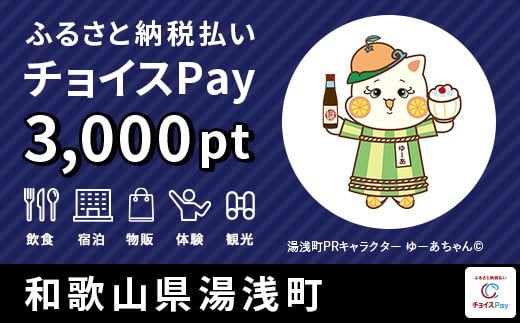 
                  宿泊・食事・買物・品交換などに使える！湯浅町 チョイスPay 3,000ポイント【会員限定のお礼の品】
                