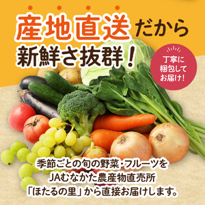 むなかた旬のお任せ セット(野菜・フルーツ)9～11品【JAほたるの里】_HA1570