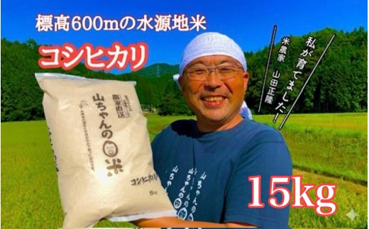 【10月1日発送開始】令和7年度産 農家直送「山ちゃんのお米」コシヒカリ15kg 残留農薬202項目検査済み 残留放射能測定済み (542)