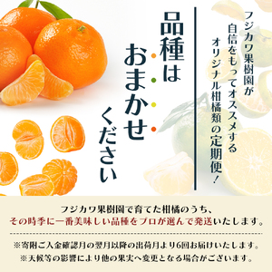 柑橘セット フジカワ果樹園 新季節 みかん 柑橘セット【定期便6回】