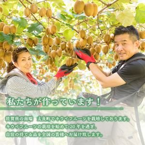 体が喜ぶ☆キウイフルーツ 1.7kg～2kg 【2026年12月上旬-2027年4月下旬発送】 浦田農園 キウイフルーツ キウイ フルーツ くだもの 果物 ミネラル豊富 太良町 国産 贈答用