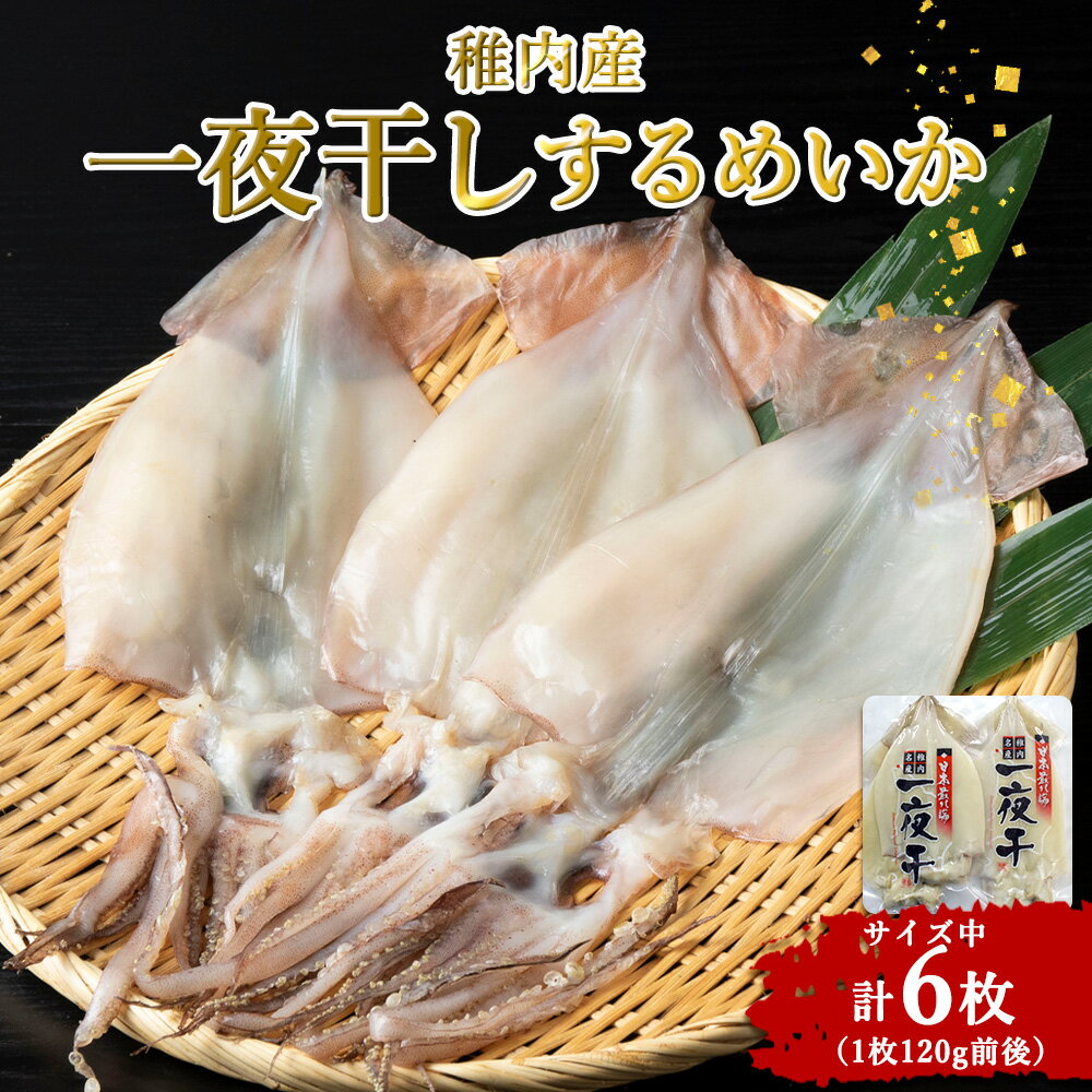 【ふるさと納税】稚内産 するめいか一夜干し 中2枚入×3セット(合計6枚)いか 烏賊 スルメいか するめいか 一夜干し 干物 海鮮 海産物 加工品 北海道ふるさと納税 稚内 ふるさと納税 北海道 【配送不可地域：離島・沖縄県】