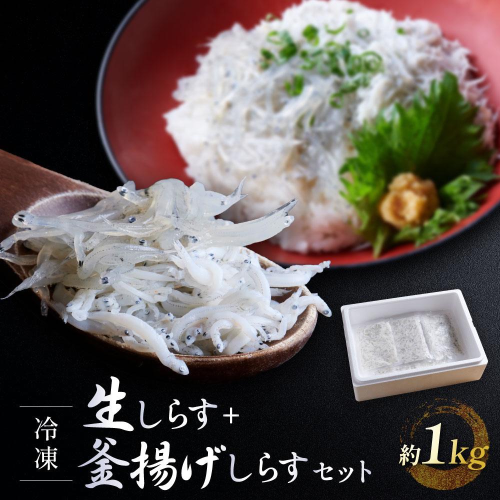 【ふるさと納税】冷凍生しらす＋釜揚げしらすセット 約1kg（生しらす100g × 5・釜揚げしらす70g × 7）静岡県御前崎産 しらす丼 小分け 個包装 便利 大容量 徳用 海鮮丼 どんぶり 刺身 おつまみ おかず 惣菜 晩ごはん | 魚 お魚 さかな 食品 人気 おすすめ 送料無料