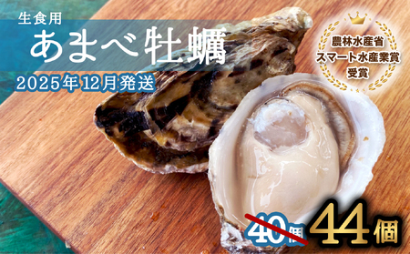 先行予約 あまべ牡蠣 44個 牡蠣 シングルシード 生食用 殻付き かき カキ オイスター 生ガキ 生牡蠣 生がき 生かき ギフト 貝 旨味 【2026年1月7日～発送】
