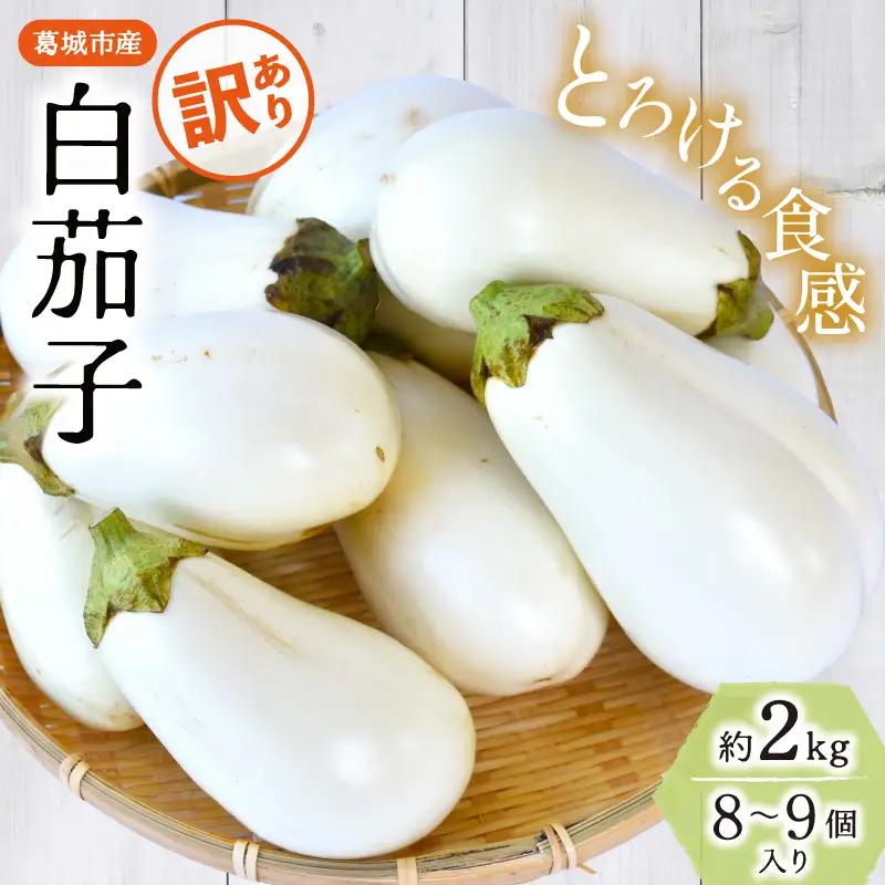 茄子 【訳あり】とろ～り旨なす(白茄子) 約2kg 8～9個【2026年7月初旬～9月末頃順次発送】奈良県 葛城市【bfrk002】