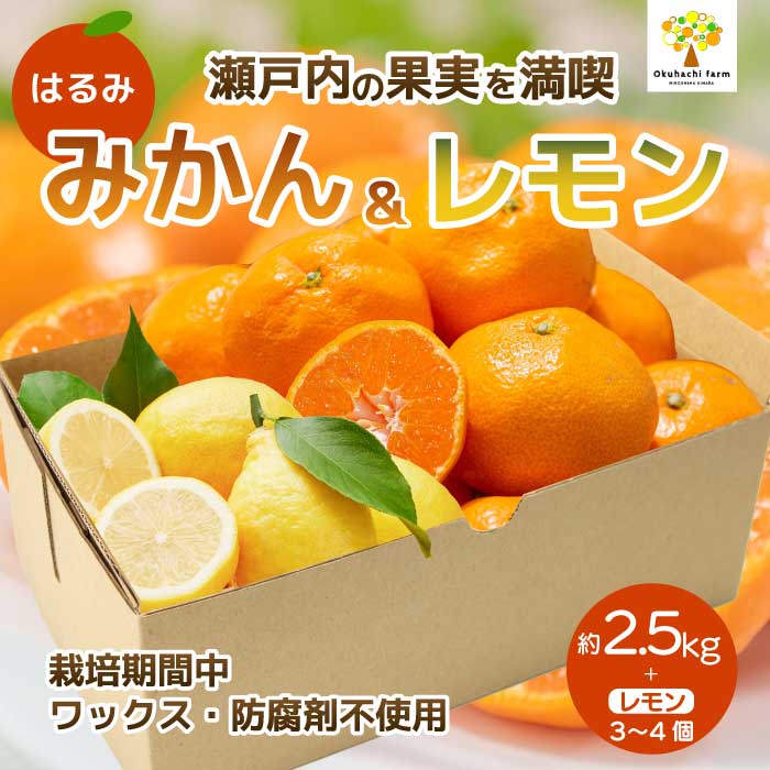 【ふるさと納税】【おくはち農園】はるみ 2.5kg レモン3～4個《2026年2～3月発送予定》栽培期間中 防腐剤 ワックス 不使用 旬 柑橘 かんきつ フルーツ 果物 瀬戸内 166024