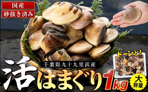 
            C01-E11 千葉県産活ハマグリ 1kg
          