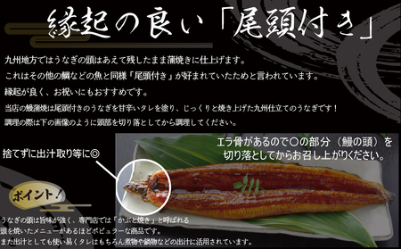 FM069_伝統酵母　うなぎの蒲焼　千栗　220g×２