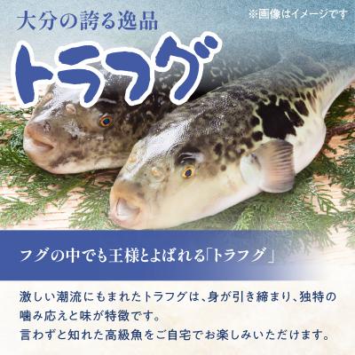 ふるさと納税 大分市 トラフグ うす引き・チリセット(33cm皿)【4月〜10月までお届け】_E05029 |  | 01