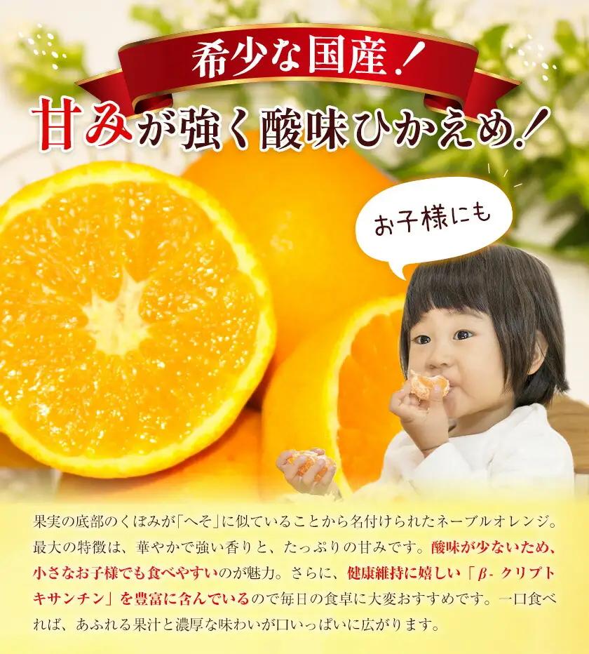 国産ネーブルオレンジ 5kg エイワ商店 オレンジ