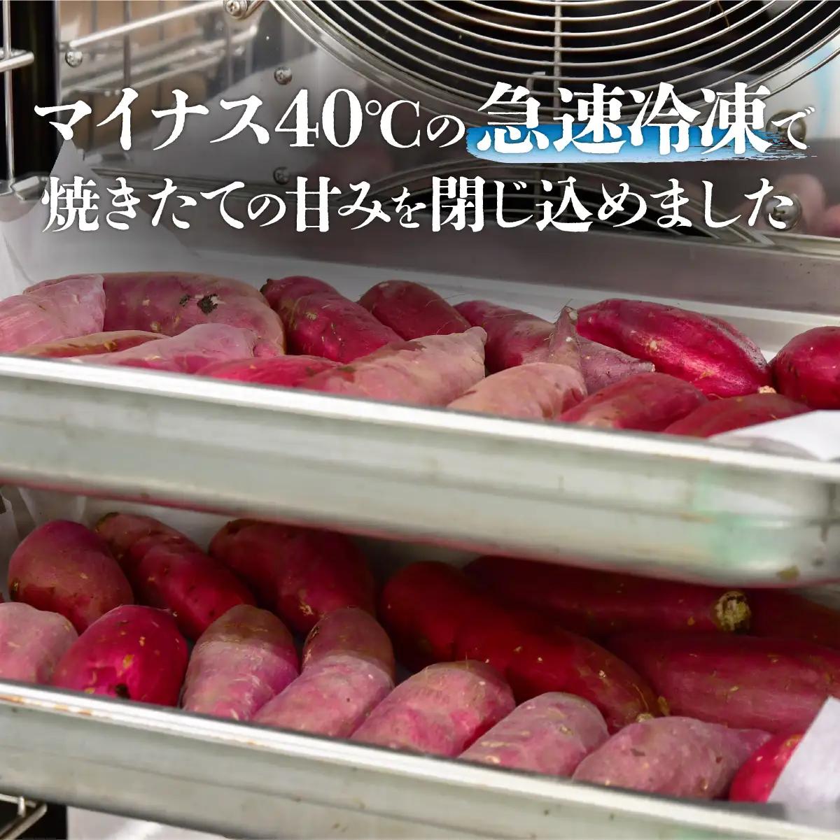 【訳あり】紅はるか 冷凍 焼き芋 約1.5kg | 焼き芋 紅はるか 栃木県 茂木町