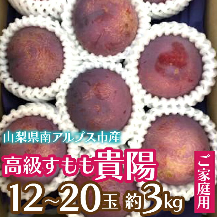 【ふるさと納税】 【ご家庭用】高級すもも「貴陽」約3.0kg（12～20玉）ふるさと納税 おすすめ 山梨県 南アルプス市 送料無料 ALPCZ017