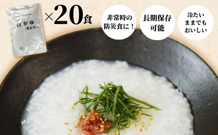 おかゆ 白がゆ 280g×20個入 長期保存 | 新潟県 お粥