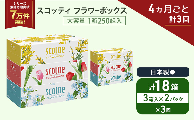 定期便 ティッシュ スコッティ フラワーボックス 3箱 × 2 パック《 4ヶ月ごと計 3回 》ティッシュセット