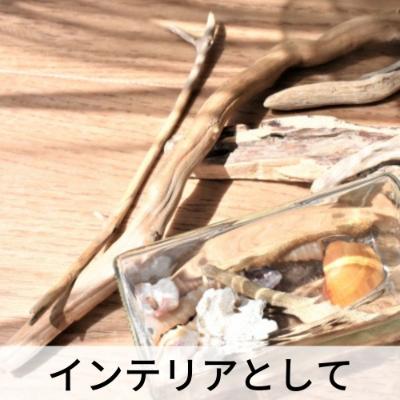 ふるさと納税 北見市 雰囲気の出る美しい流木　大中小サイズ混合　約5kg |  | 02