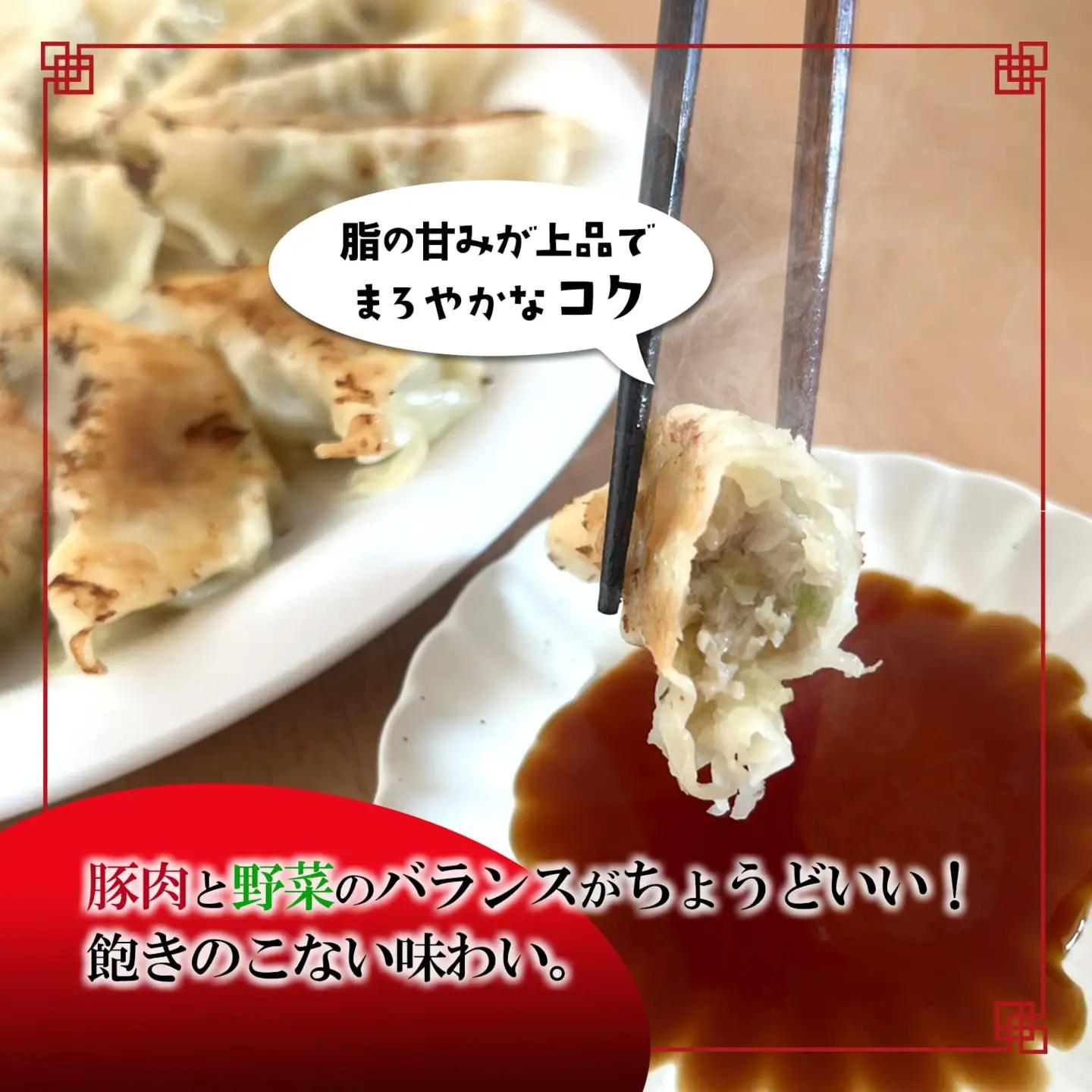【茨城県共通返礼品】◎最短翌日発送◎ 冷凍餃子 約120個 K2663