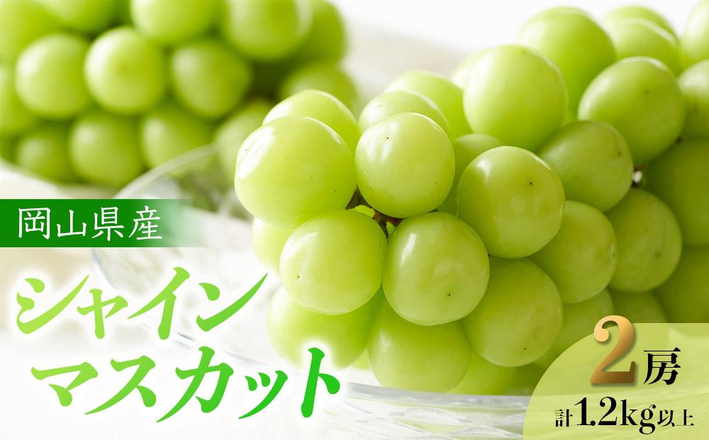 ぶどう 2025年 先行予約 岡山県産 シャインマスカット 2房 計1.2kg以上＜ジューシーで上品な甘みと高貴な香り＞