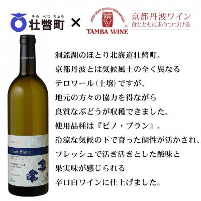 ふるさと納税 壮瞥町 北海道壮瞥産ピノ・ブラン2024(辛口白ワイン) 750ml×2本 SBTA085 |  | 01