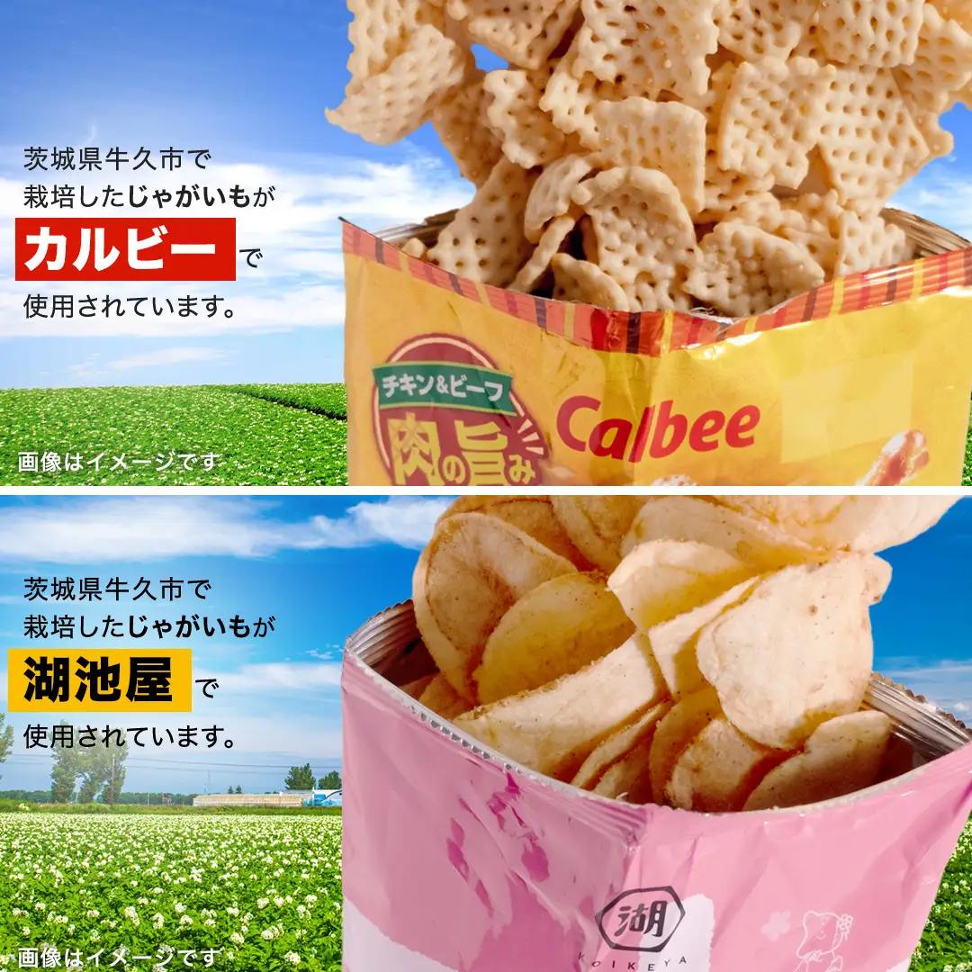 【最短3営業日！スピード発送】カルビー 湖池屋 人気 24種 詰め合わせ