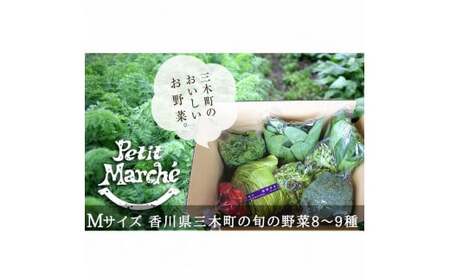 プチマルシェお野菜ボックス(Ｍ)　季節の野菜８～９種類　≪　IDOMALL　セレクト≫_mk048-004
