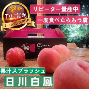 【果汁スプラッシュ日川白鳳】人気品種指定ギフト3年連続TV出演話題ブランド桃2025年6月下旬発送【配送不可地域：離島・北海道・沖縄県・中国・四国・九州】【1465184】